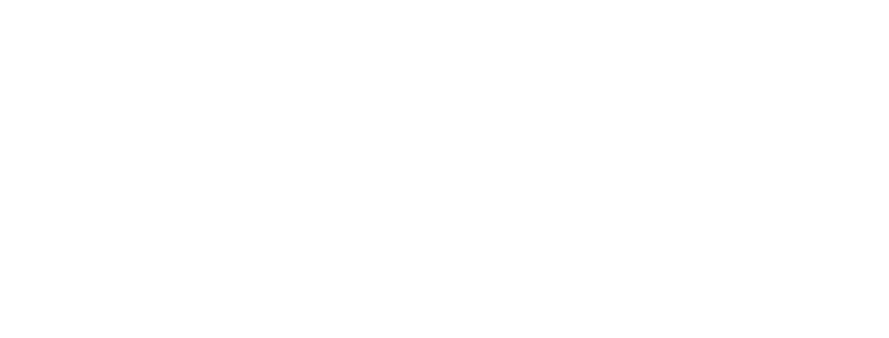 IZIN logo